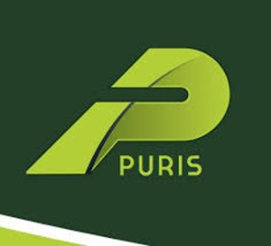 Puris Car Care